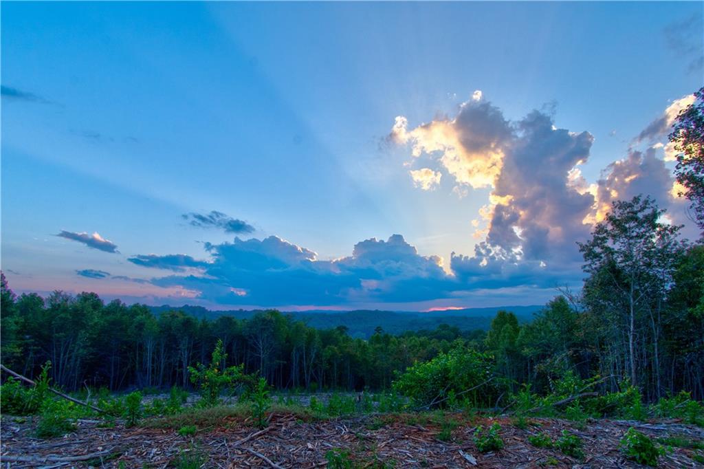 6.7 Grateful View Drive Dahlonega GA 30533