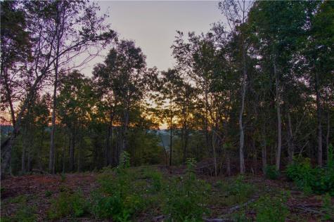 6.7 Grateful View Drive Dahlonega GA 30533