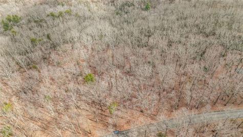 21 Andes Ridge Jasper GA 30143