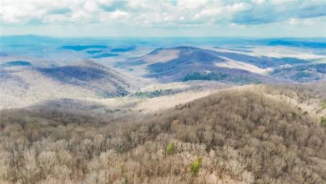 21 Andes Ridge Jasper GA 30143