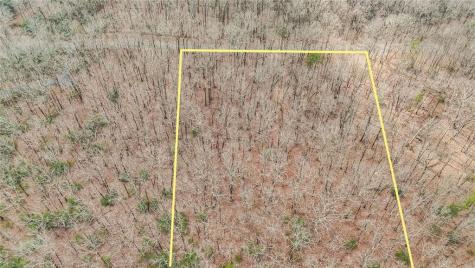 21 Andes Ridge Jasper GA 30143