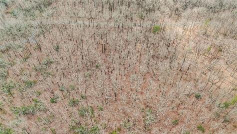 21 Andes Ridge Jasper GA 30143
