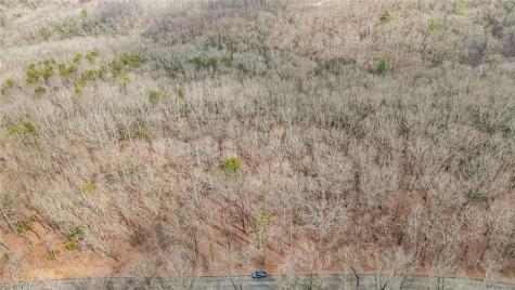 21 Andes Ridge Jasper GA 30143