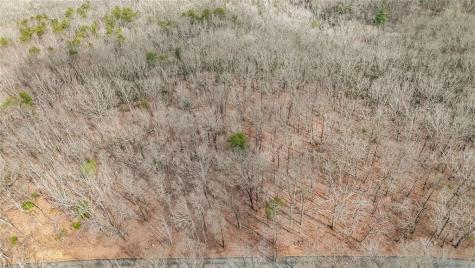 21 Andes Ridge Jasper GA 30143