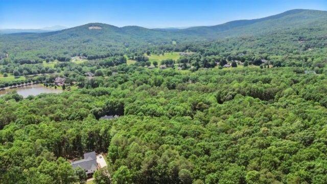 0 Plum Lane Clarkesville GA 30523