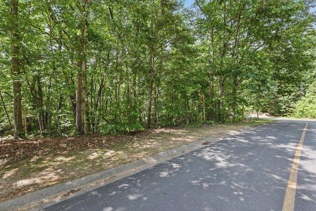 0 Plum Lane Clarkesville GA 30523