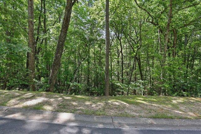 0 Plum Lane Clarkesville GA 30523