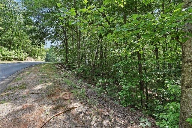 0 Plum Lane Clarkesville GA 30523