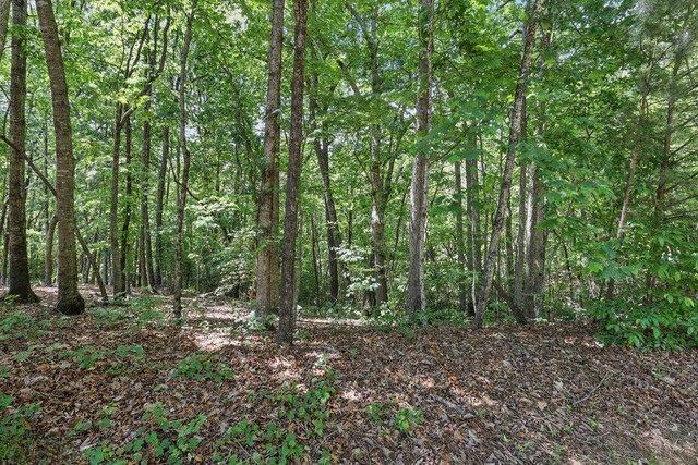 0 Plum Lane Clarkesville GA 30523