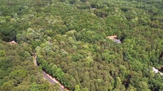 0 Plum Lane Clarkesville GA 30523