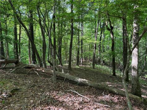 00 High Shoals Drive Dahlonega GA 30533