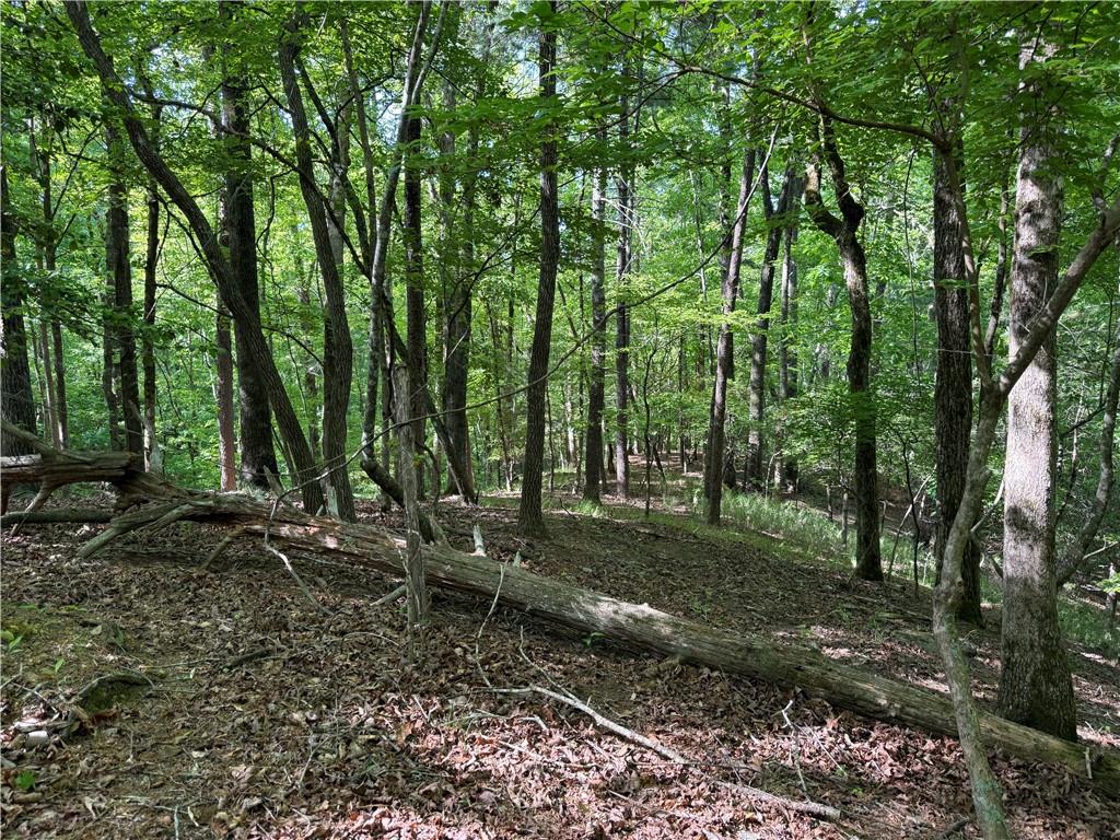 00 High Shoals Drive Dahlonega GA 30533