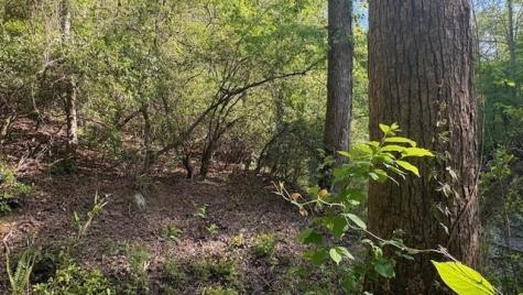 01 Highway 136 West Talking Rock GA 30175