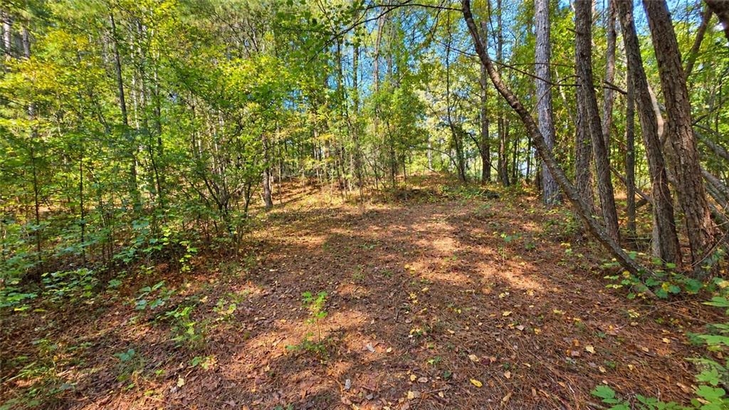 00 Winndale Road Dallas GA 30157