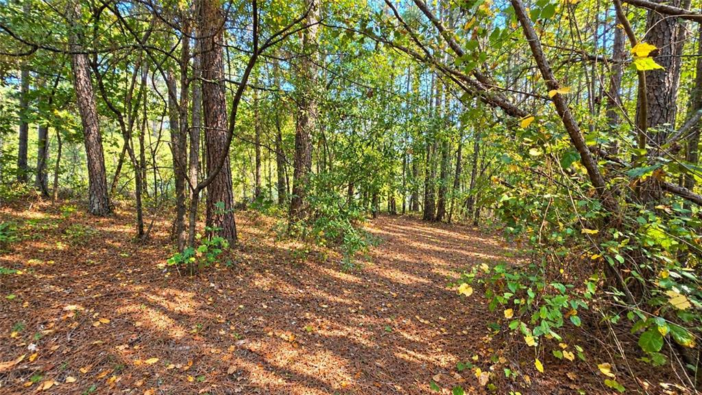 00 Winndale Road Dallas GA 30157