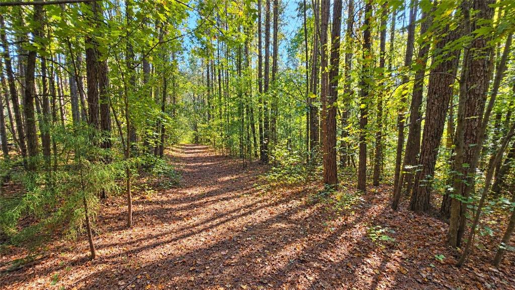 00 Winndale Road Dallas GA 30157