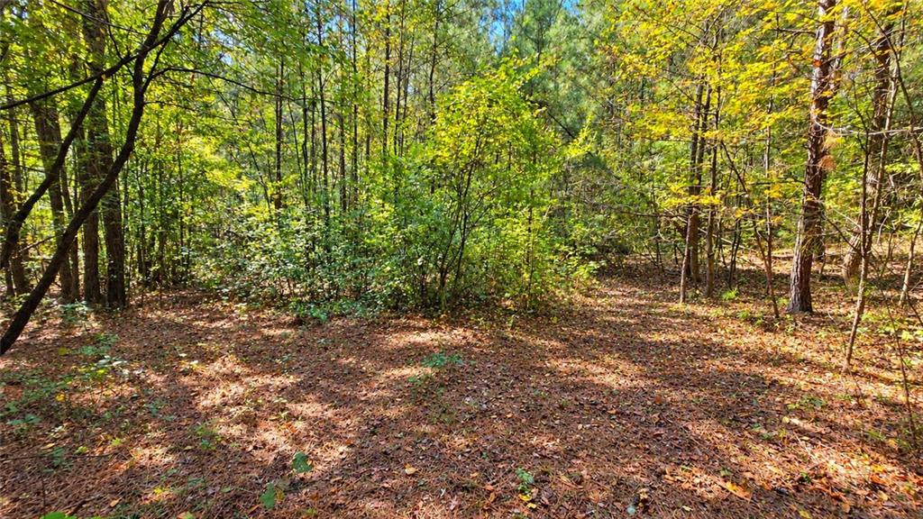 00 Winndale Road Dallas GA 30157