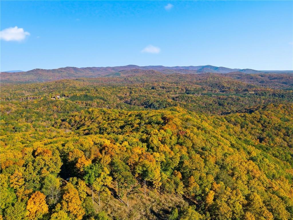 1500 Sunset Trail Talking Rock GA 30175