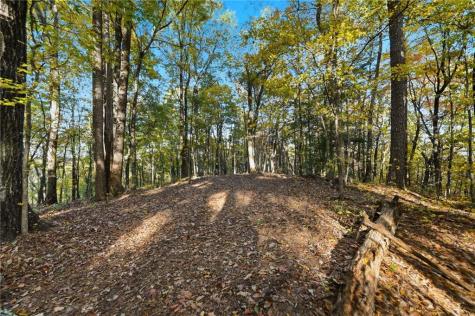 1500 Sunset Trail Talking Rock GA 30175