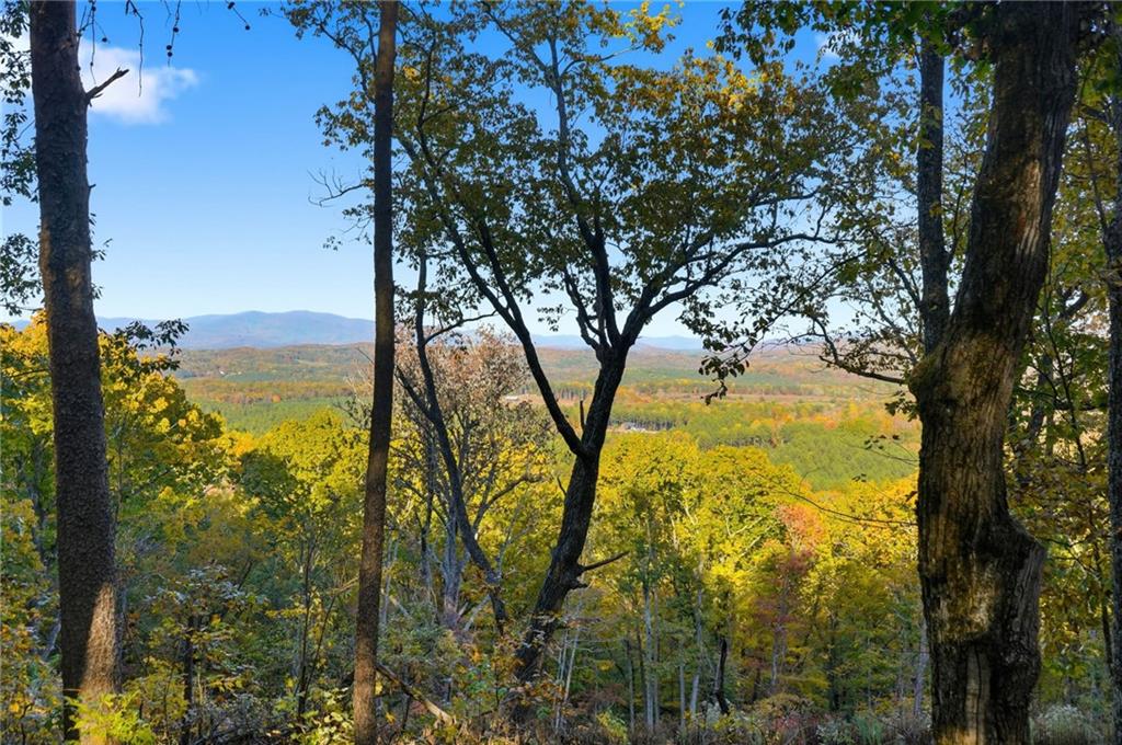 1500 Sunset Trail Talking Rock GA 30175