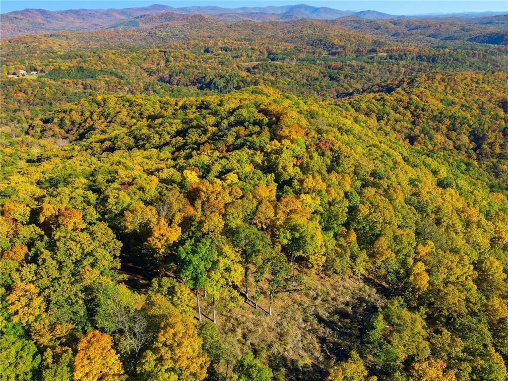 1500 Sunset Trail Talking Rock GA 30175