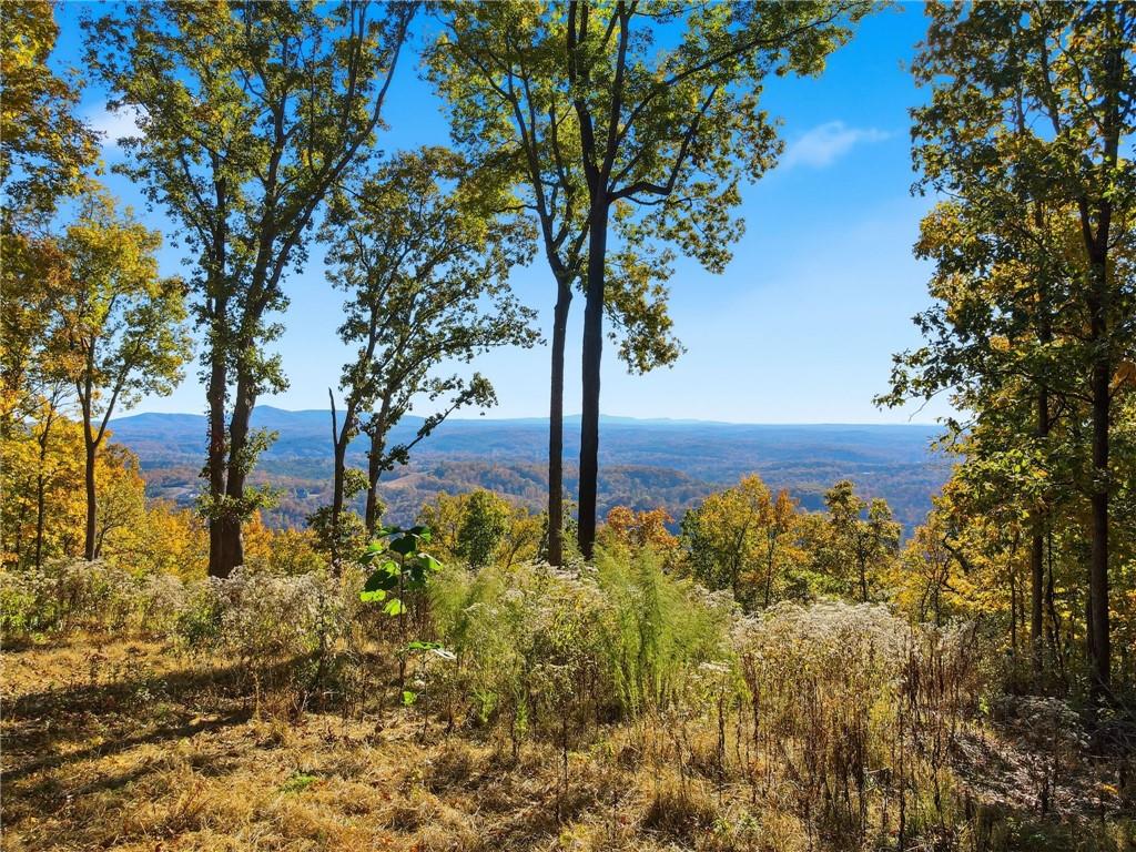 1500 Sunset Trail Talking Rock GA 30175