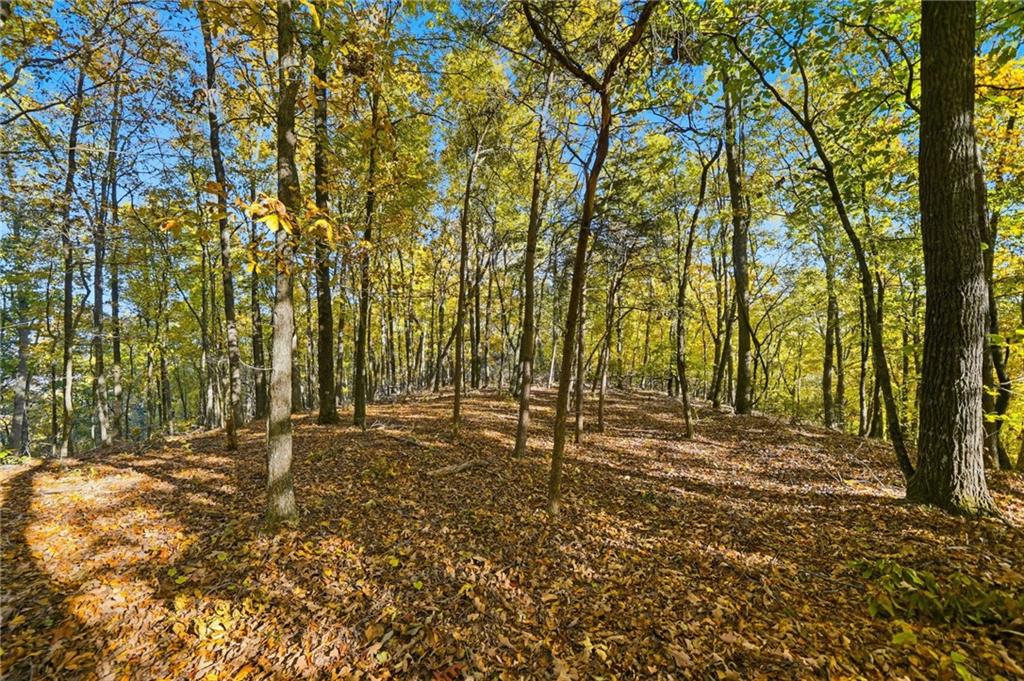 1500 Sunset Trail Talking Rock GA 30175