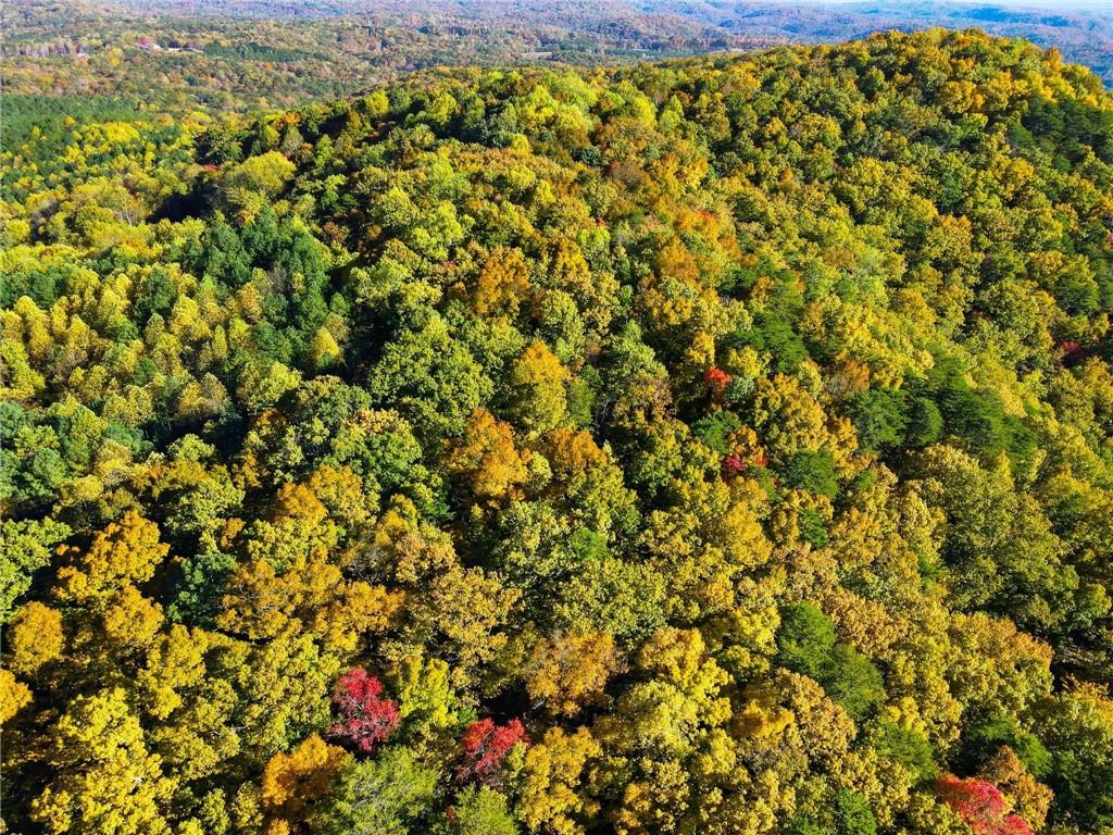 1500 Sunset Trail Talking Rock GA 30175