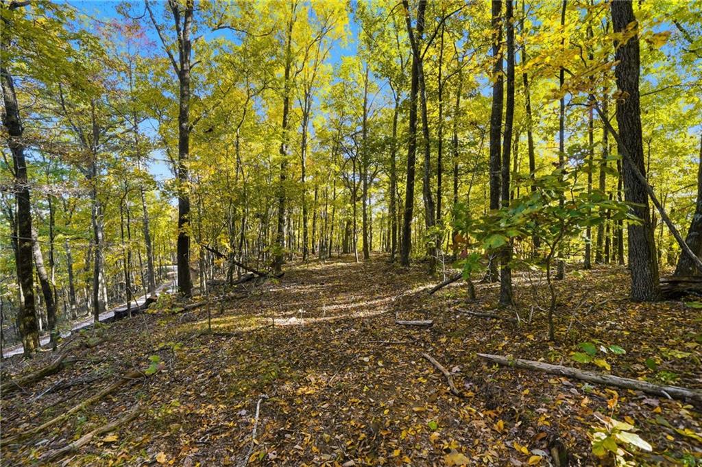 1500 Sunset Trail Talking Rock GA 30175