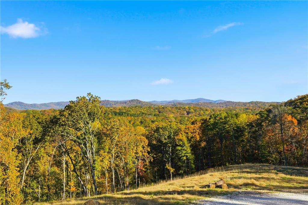 1500 Sunset Trail Talking Rock GA 30175