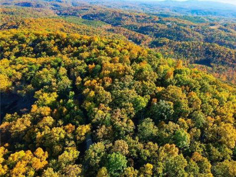 1500 Sunset Trail Talking Rock GA 30175