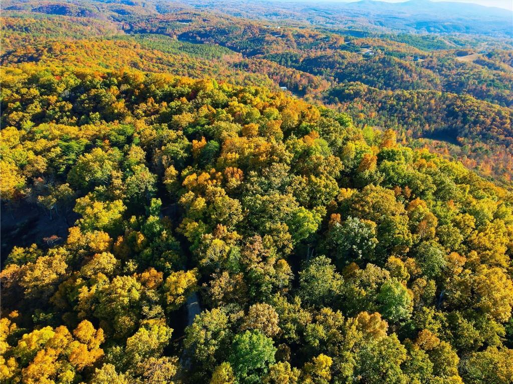 1500 Sunset Trail Talking Rock GA 30175