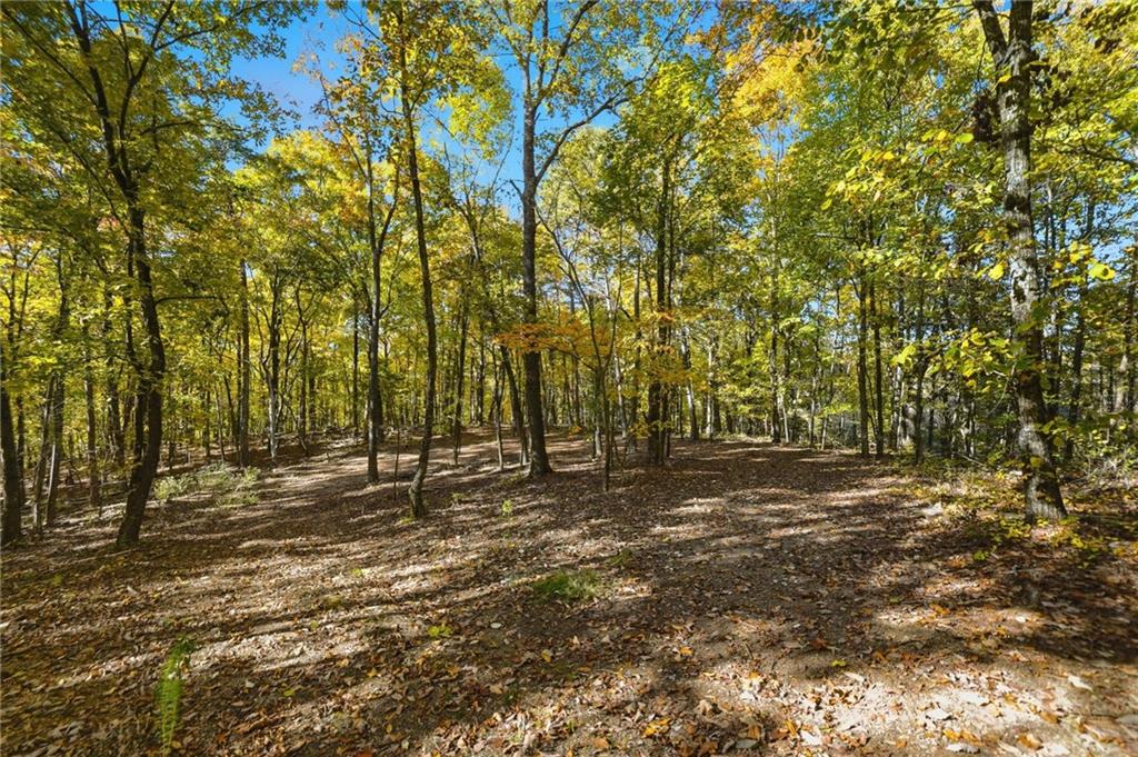 1500 Sunset Trail Talking Rock GA 30175