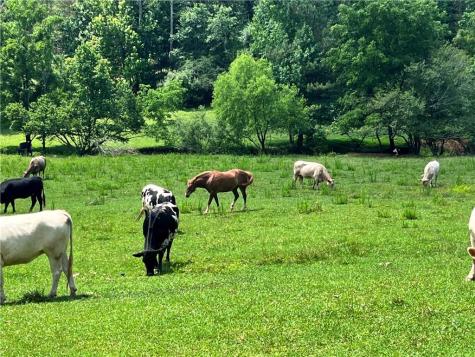 00 Freeman View Trail Cleveland GA 30528