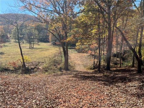 00 Freeman View Trail Cleveland GA 30528