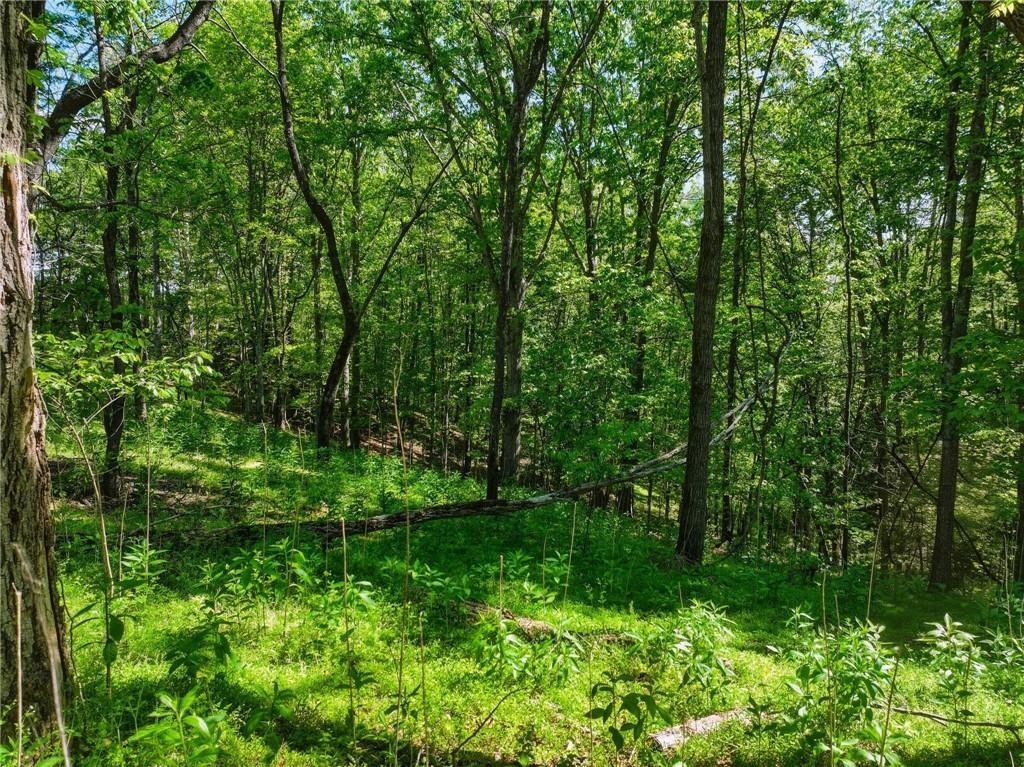 Lot 6 Summit Drive Dahlonega GA 30533
