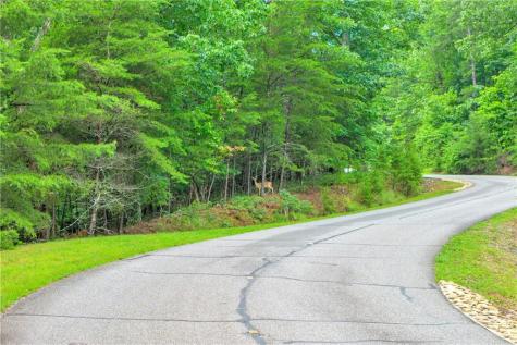 98 Sharp Mountain Parkway Jasper GA 30143