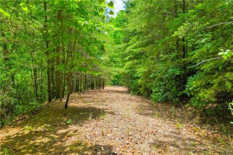 98 Sharp Mountain Parkway Jasper GA 30143