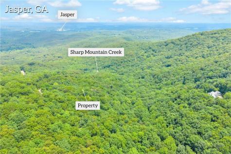98 Sharp Mountain Parkway Jasper GA 30143