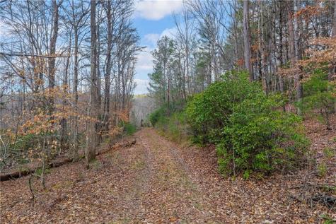 225 Smallwood Road Ellijay GA 30536