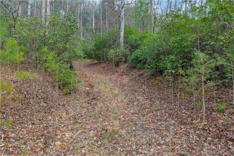 225 Smallwood Road Ellijay GA 30536