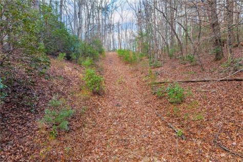 225 Smallwood Road Ellijay GA 30536