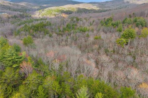 225 Smallwood Road Ellijay GA 30536