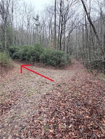 225 Smallwood Road Ellijay GA 30536