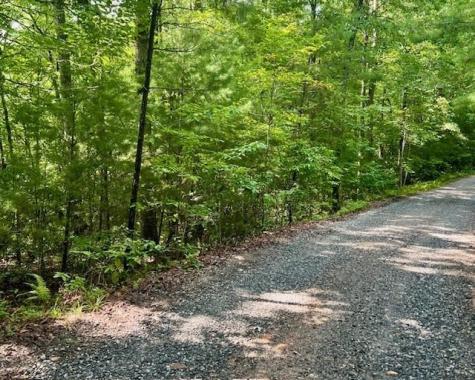 0 Hillbilly Holler Blue Ridge GA 30513