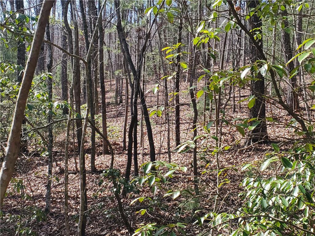 Lot 41 Trails End Ellijay GA 30540