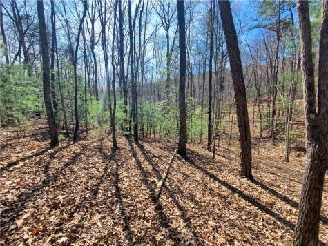 Lot 41 Trails End Ellijay GA 30540
