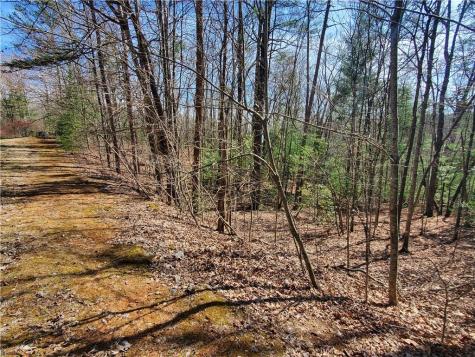 Lot 41 Trails End Ellijay GA 30540