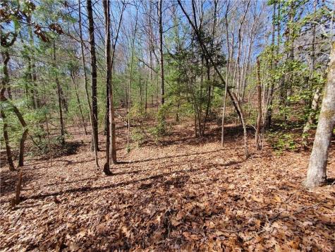 Lot 41 Trails End Ellijay GA 30540