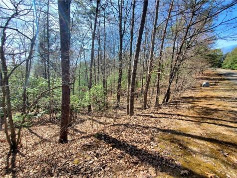 Lot 41 Trails End Ellijay GA 30540